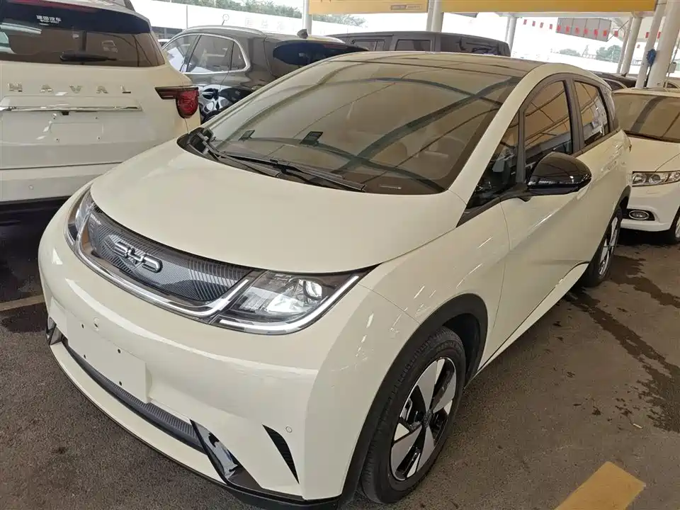 BYD dolphin
