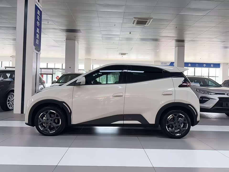 BYD Seagull