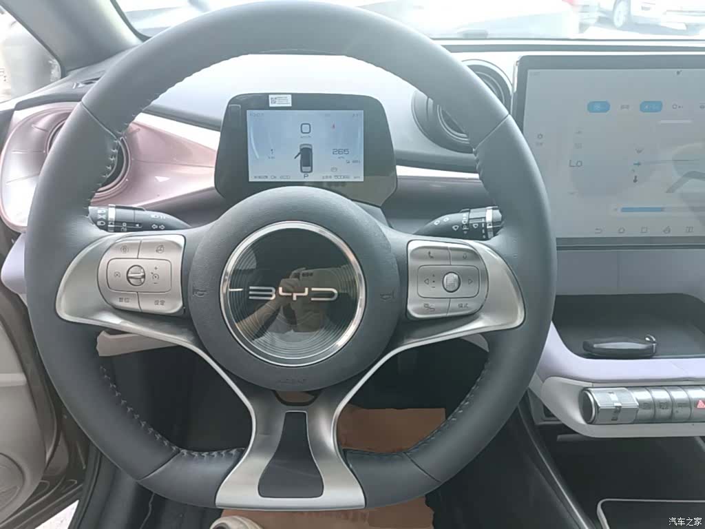 BYD Dolphin, 2022 11