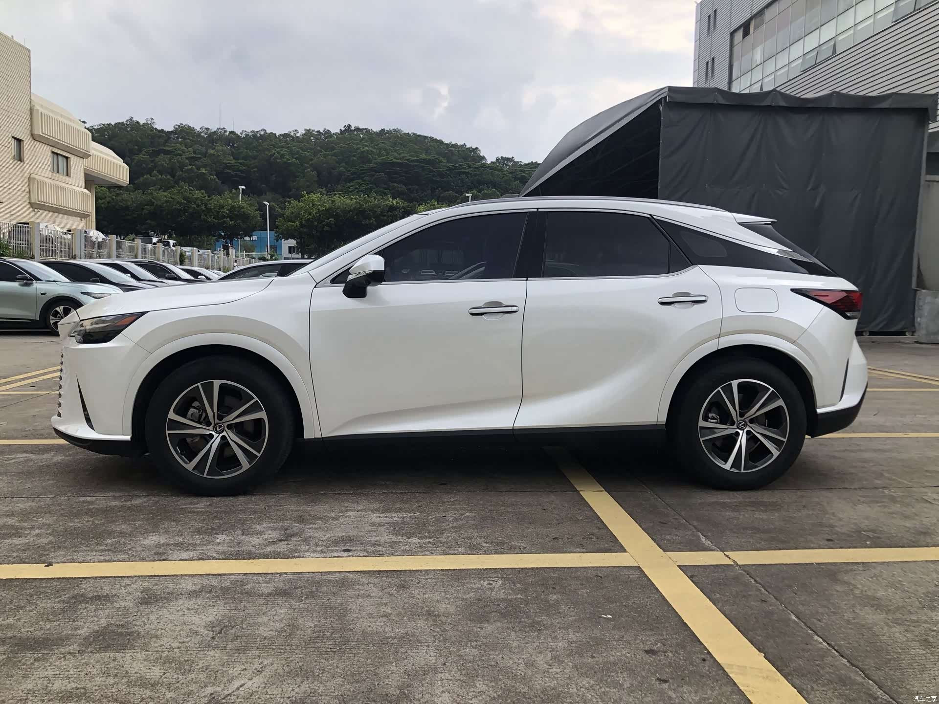 Lexus RX, 2024 3