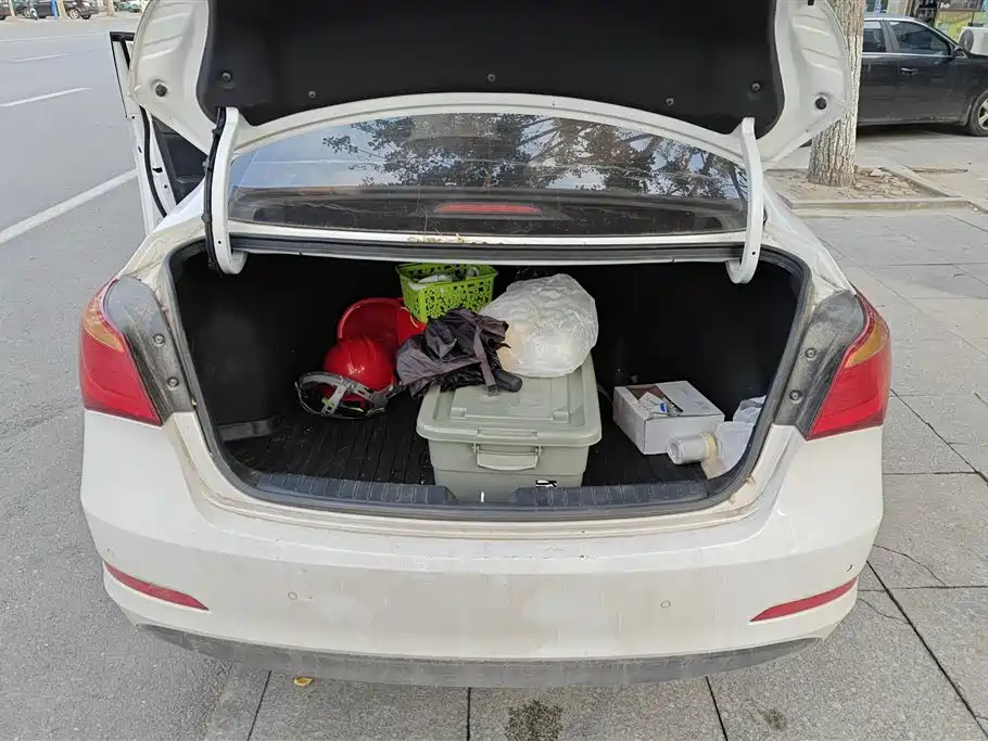 Hyundai Name picture