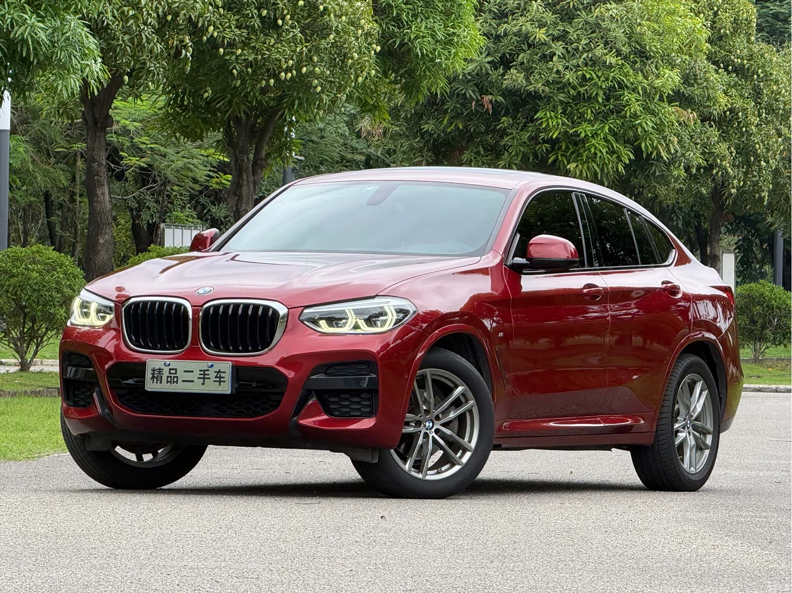BMW X4, 2020 1