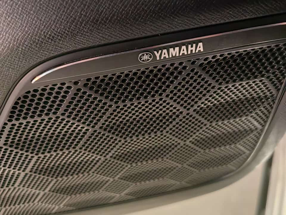 Trumpchi Trumpchi E9