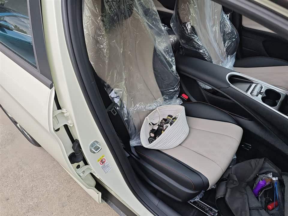 BYD dolphin