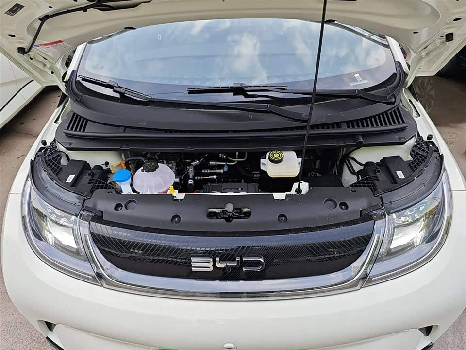 BYD dolphin