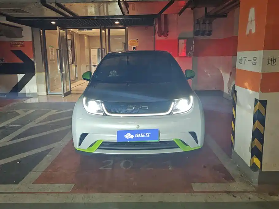 BYD dolphin