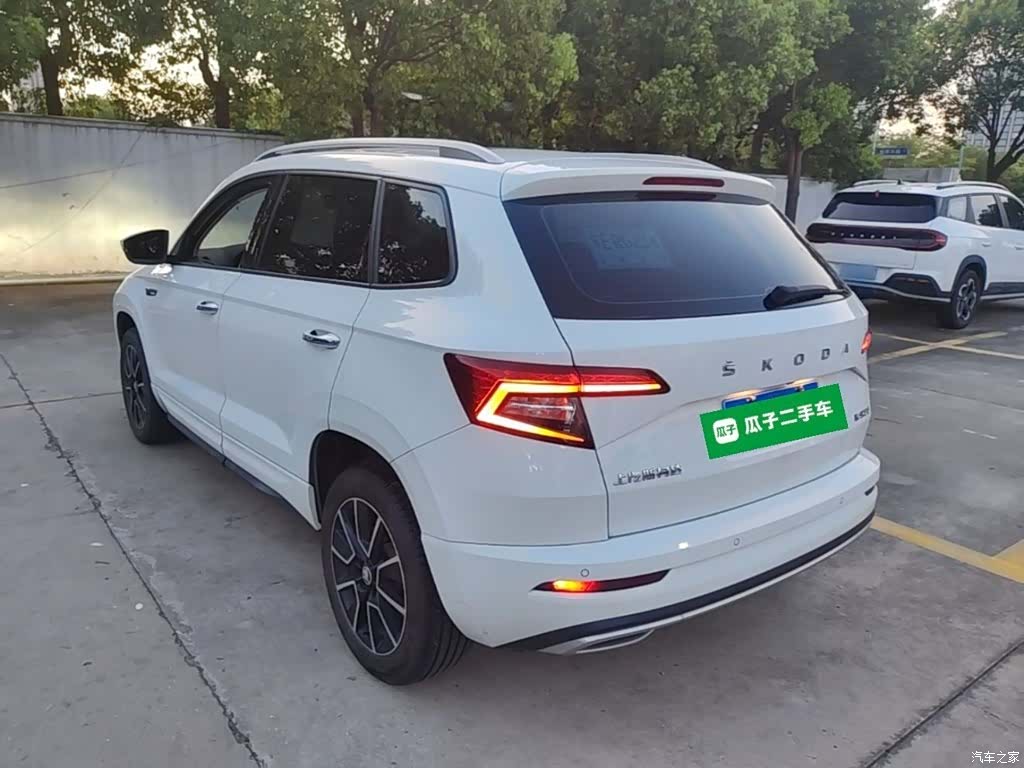 Skoda Karoq, 2024 все фото