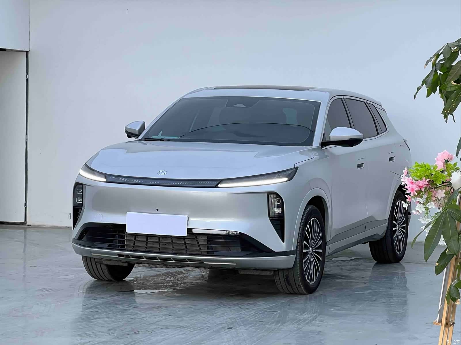 DongFeng L8, 2025 1