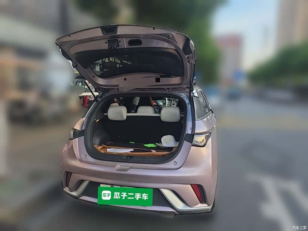 BYD Dolphin, 2021 10