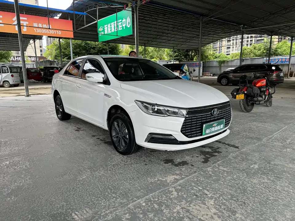 BYD Qinxin Energy