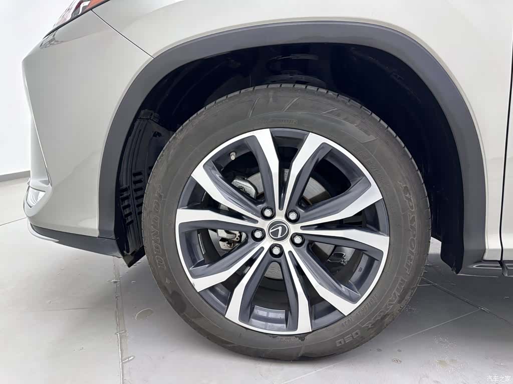 Lexus RX, 2022 32