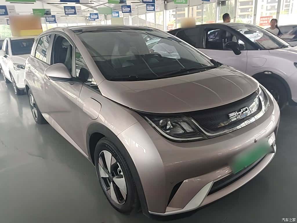 BYD Dolphin, 2023 4