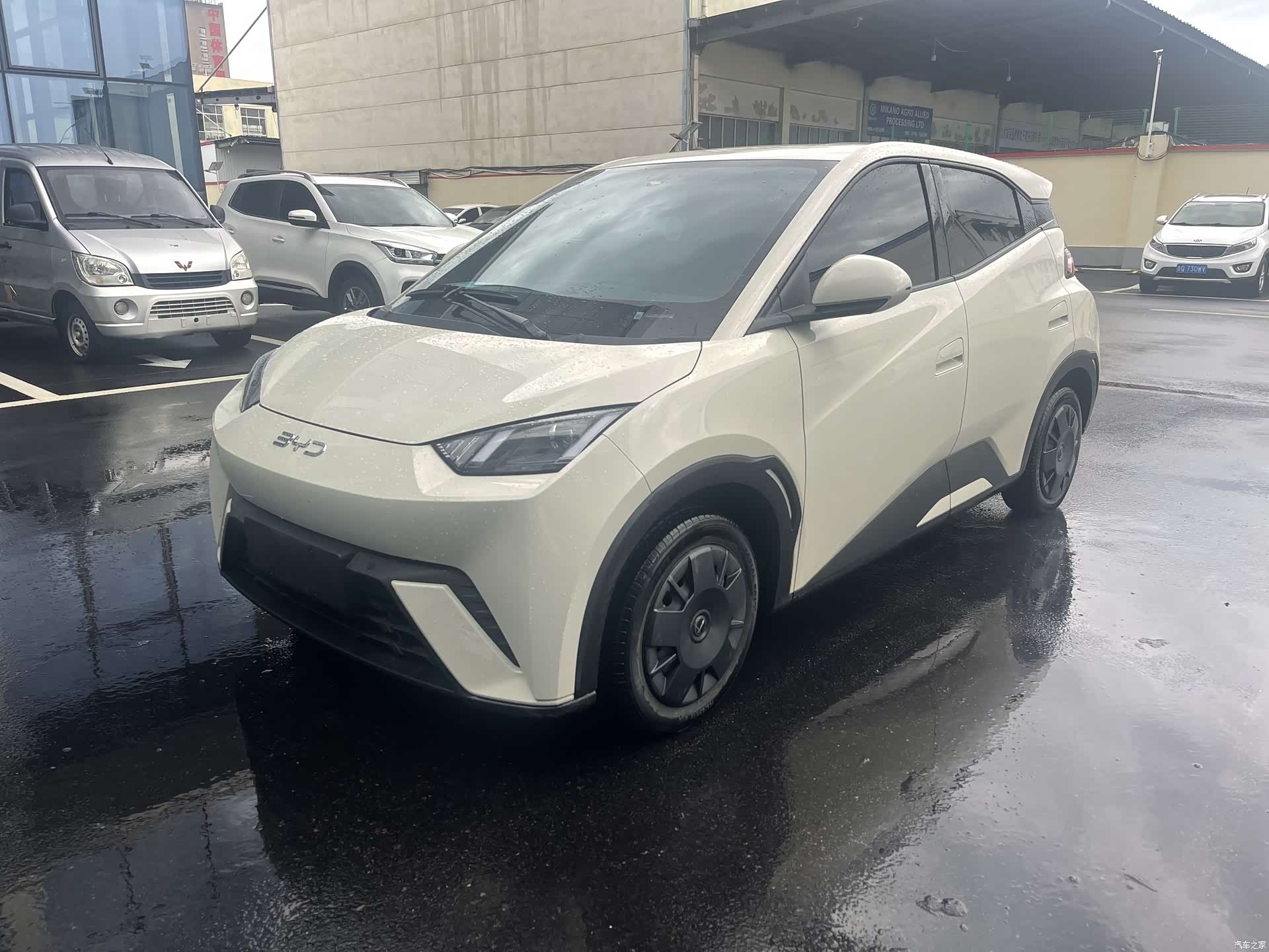 BYD Seagull