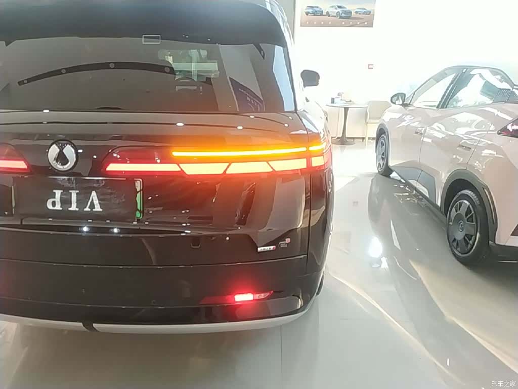 Denza N9, 2025 8