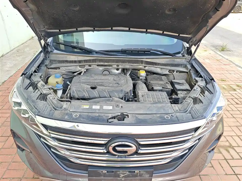 Trumpchi Trumpchi GS5