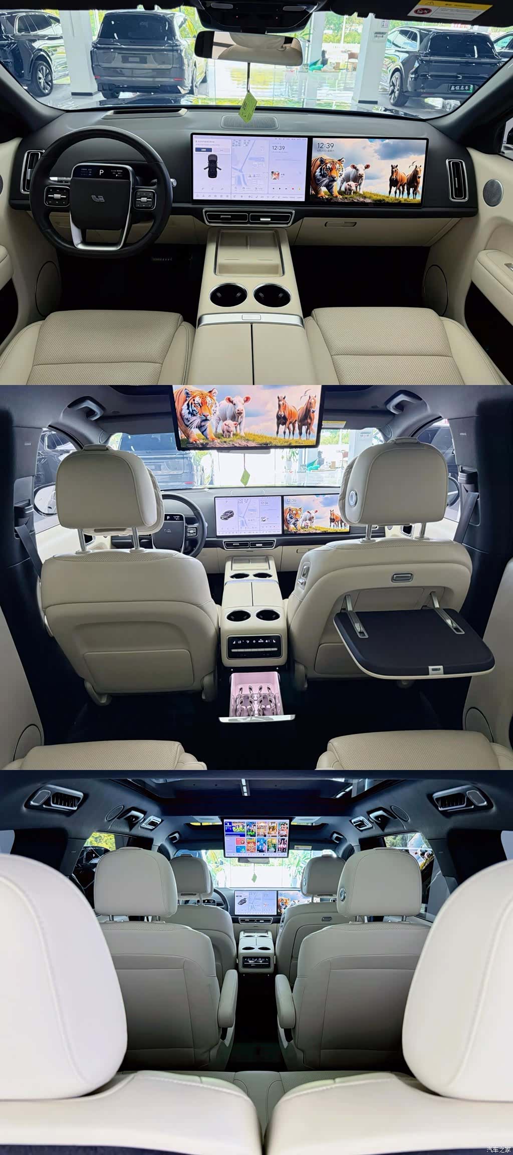 Li Auto L9, 2023 9