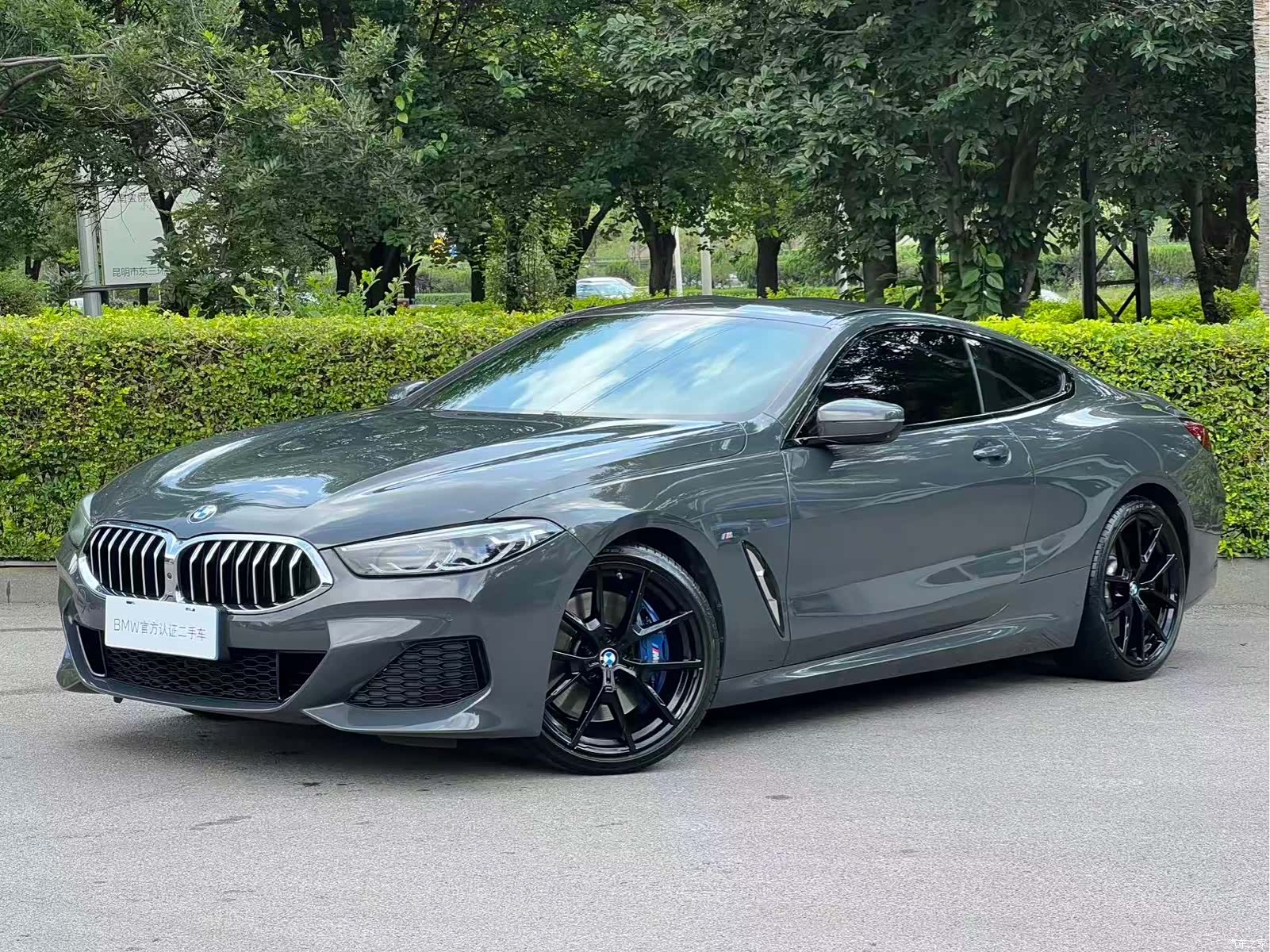 BMW 8 Series, 2021 2
