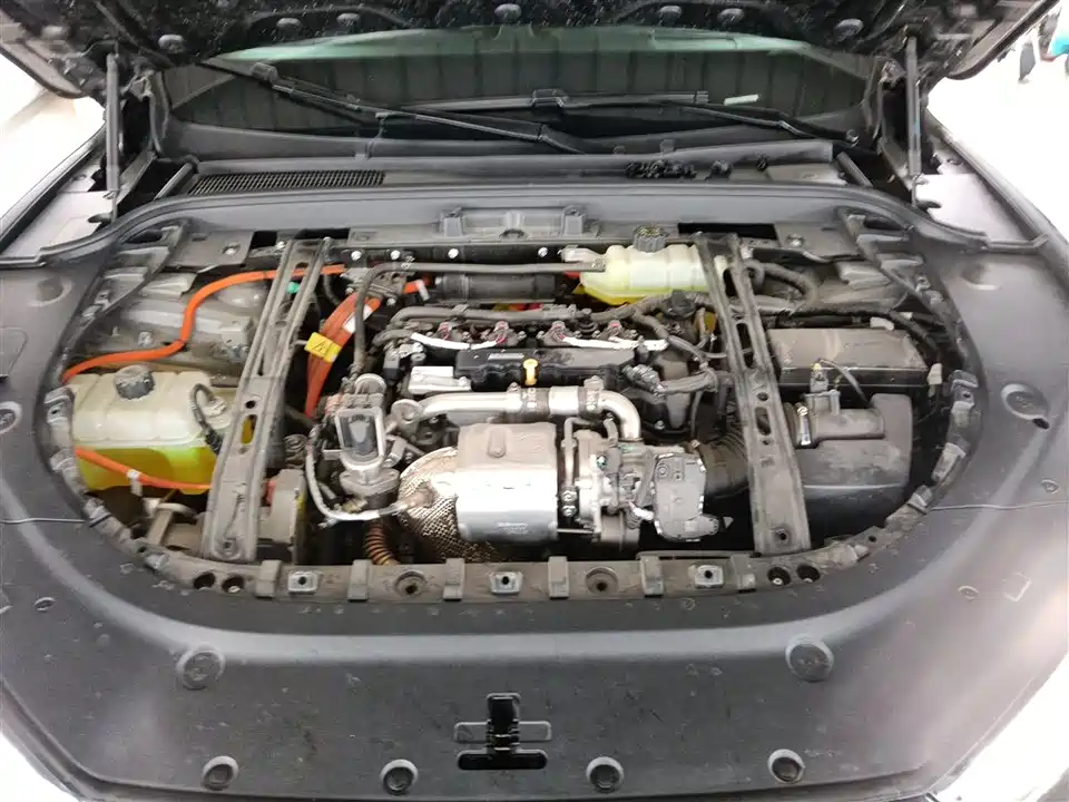 HarmonyOS Ask the world M5