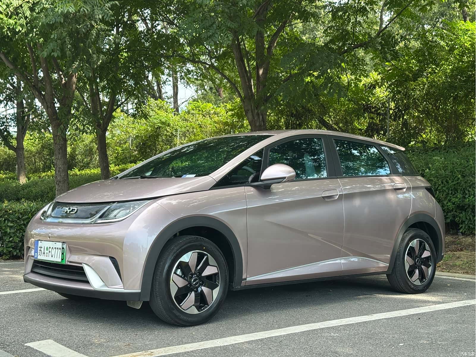BYD Dolphin, 2025 1