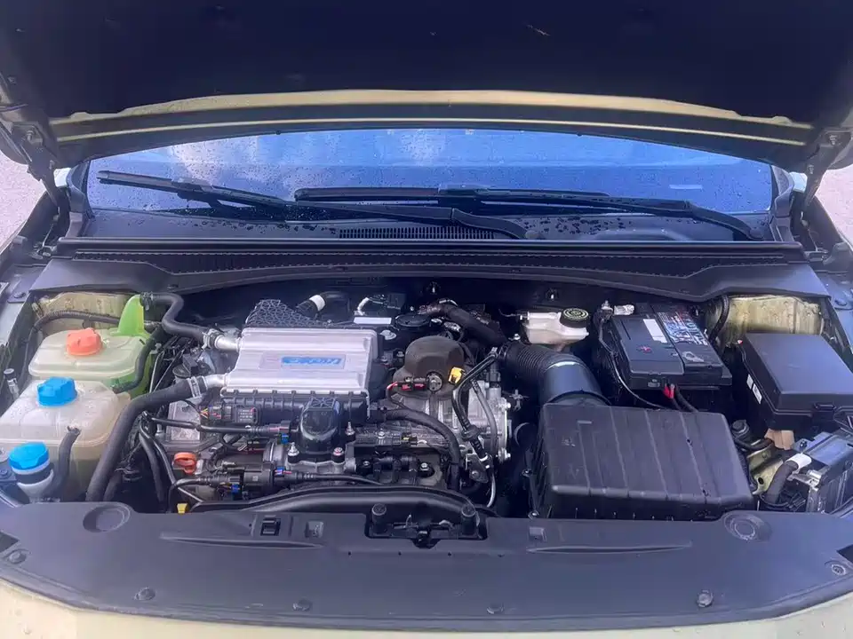 Trumpchi Shadow Leopard