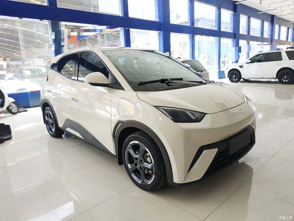 BYD Seagull, 2024 4