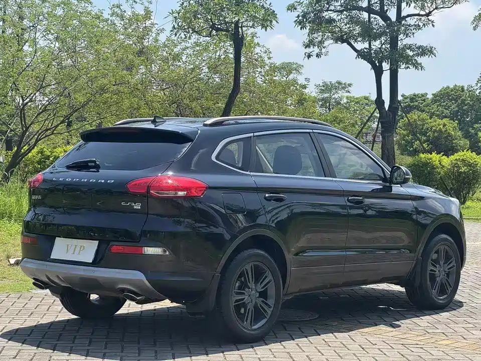 Leopaard Cheetah CS10