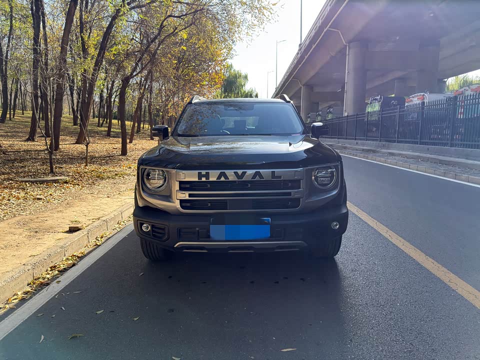 Haval Big dog
