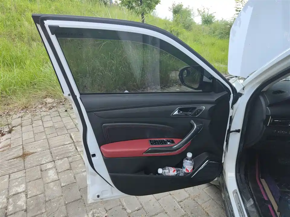 Leopaard Cheetah CS9