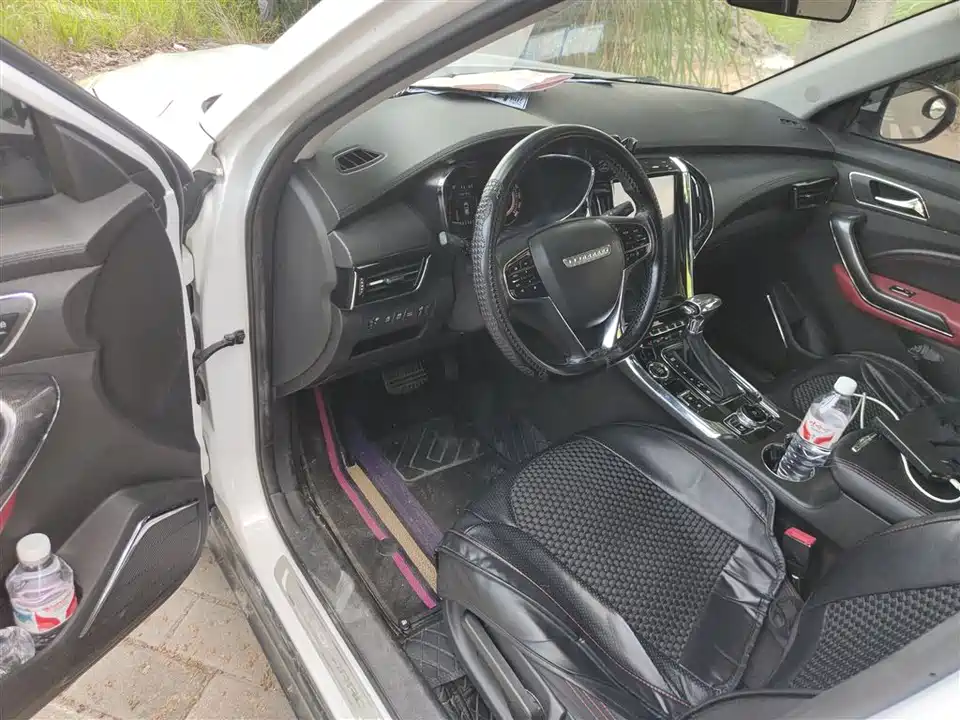 Leopaard Cheetah CS9