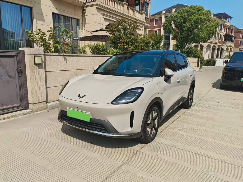 Wuling BinguoS S 2025 325km Flagship