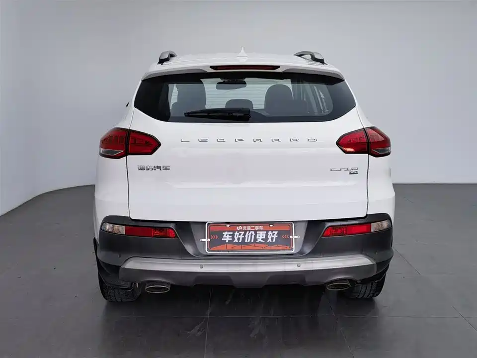 Leopaard Cheetah CS10