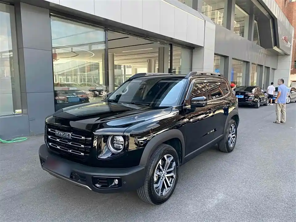 Haval Big dog