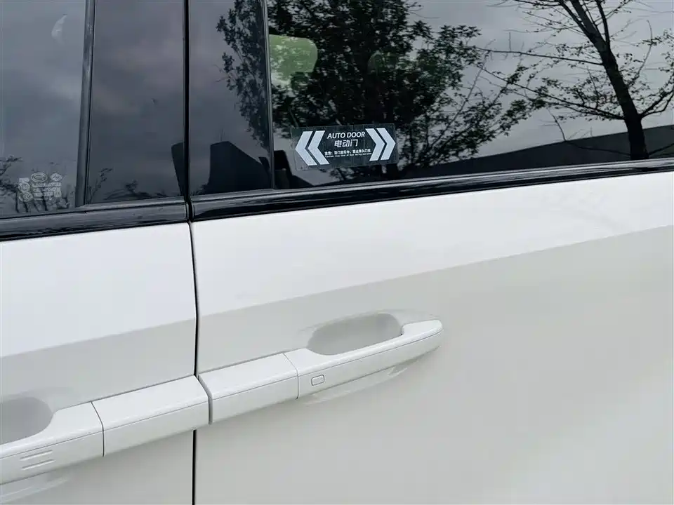 Trumpchi Trumpchi E9