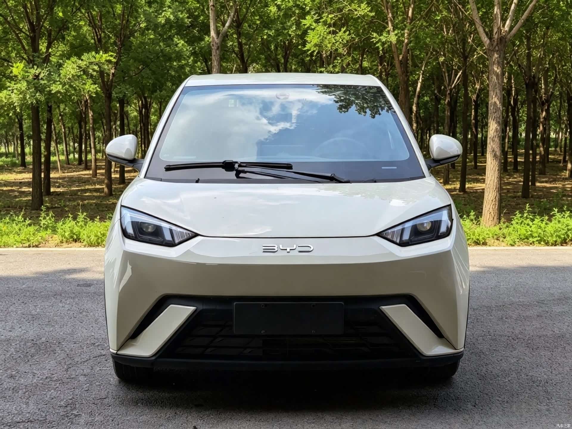 BYD Seagull, 2025 2