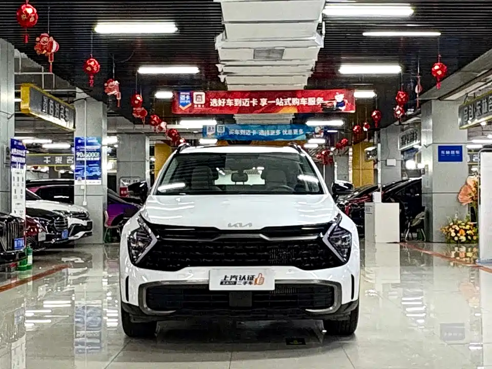 Kia Lion Platinum expands the world