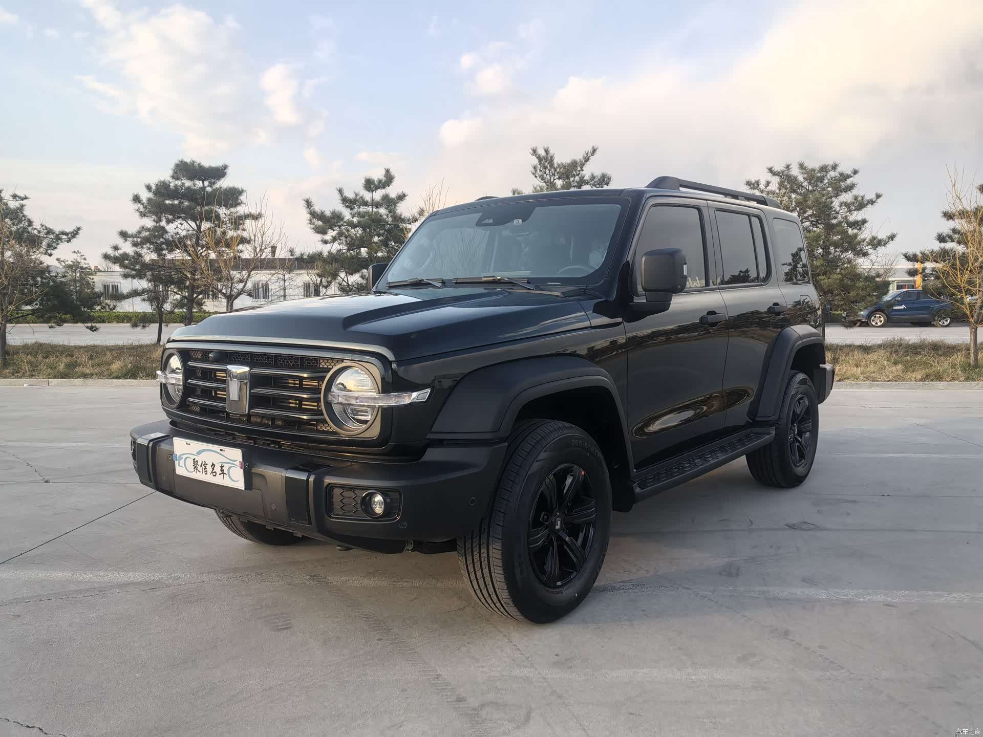Tank 300