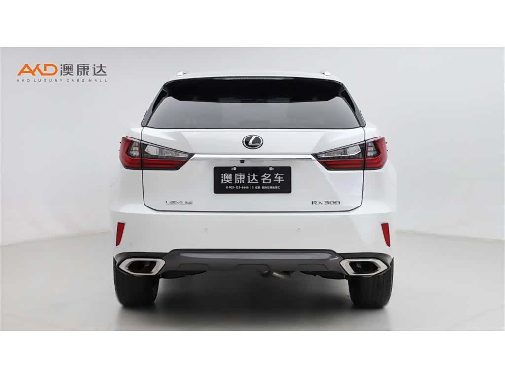 Lexus RX, 2019 4