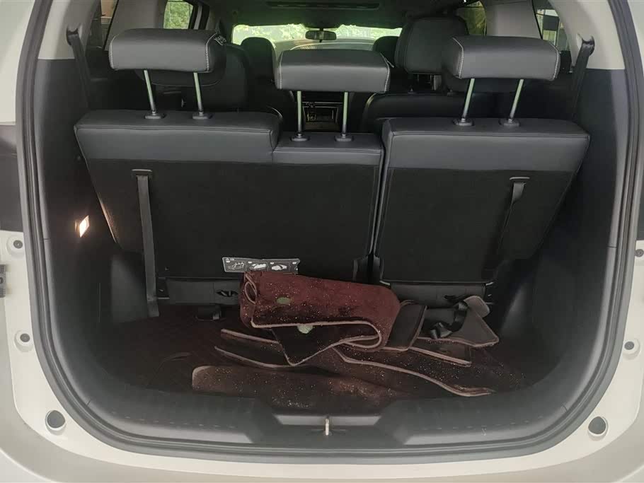 Trumpchi Trumpchi M8