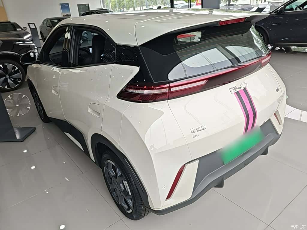 BYD Seagull, 2024 все фото