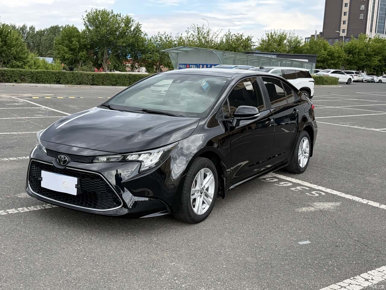 Toyota Levin