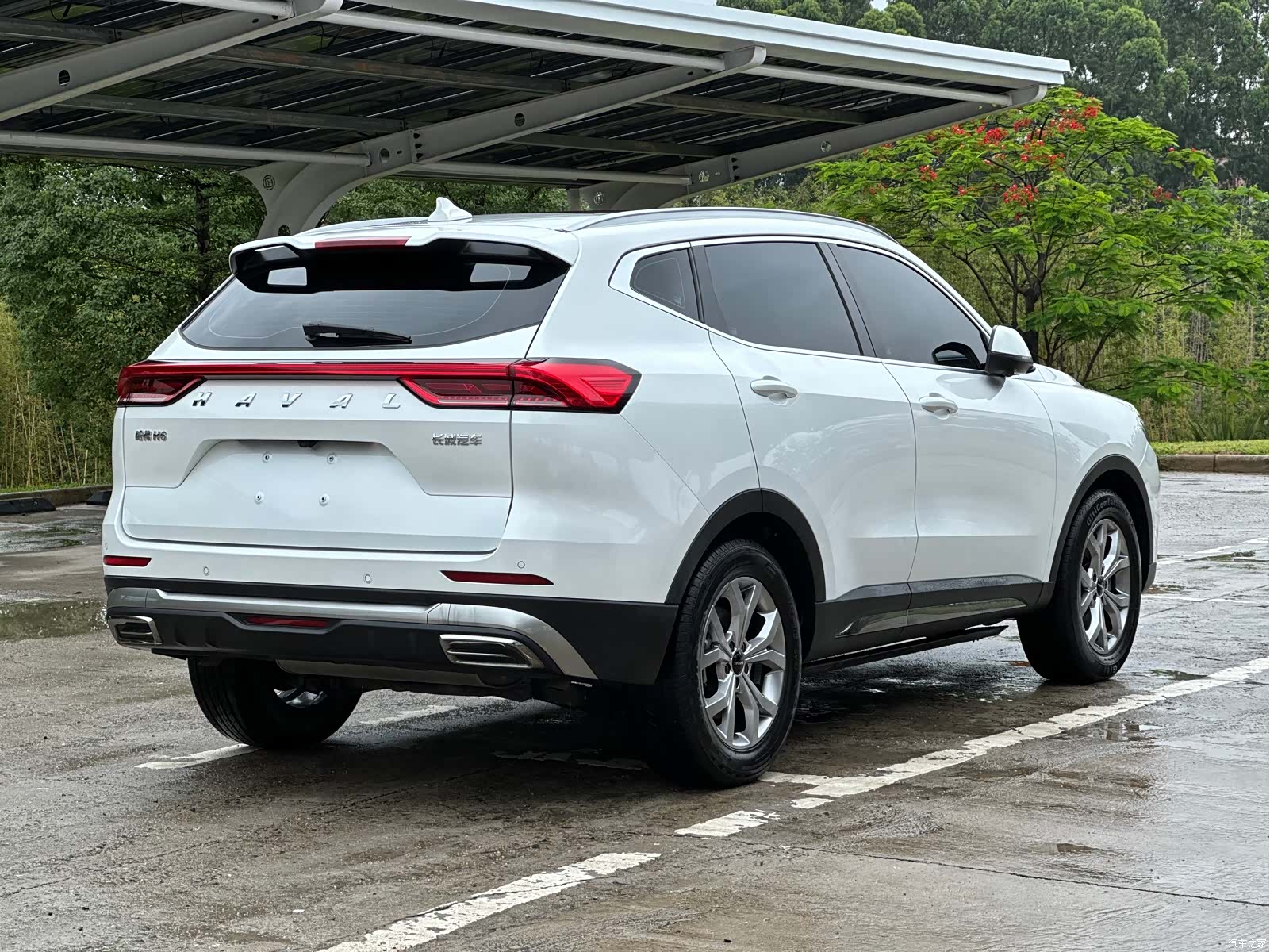 Haval H6, 2022 все фото