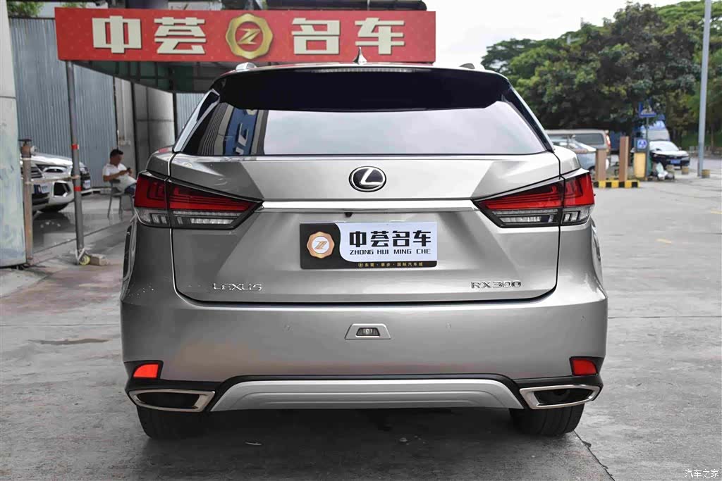 Lexus RX, 2022 15