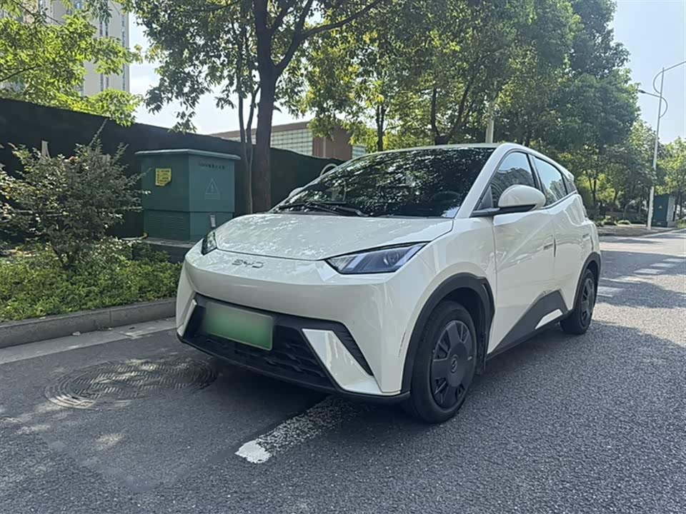 BYD Seagull BYD Seagull