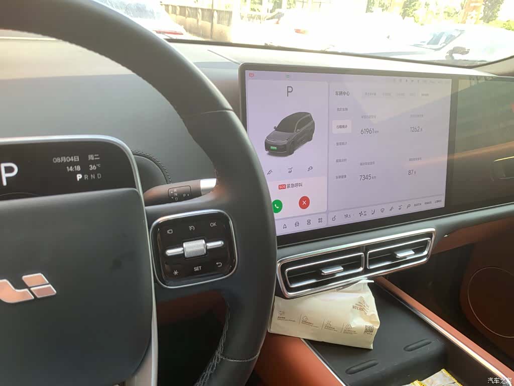 Li Auto L9, 2023 9