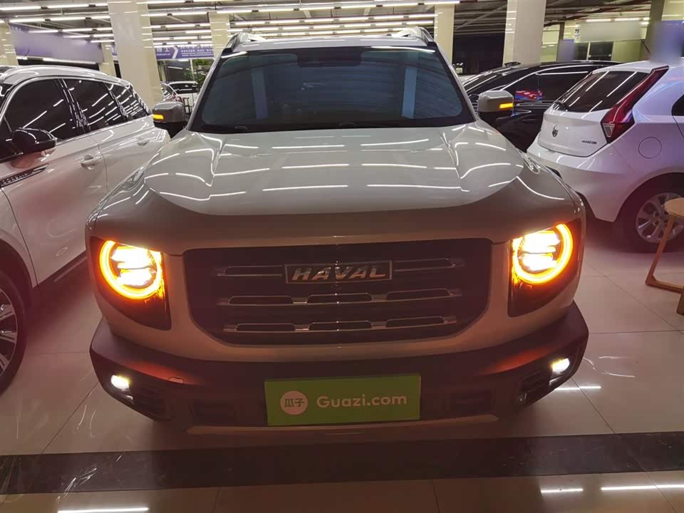 Haval Big dog