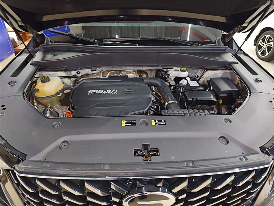 Trumpchi Trumpchi GS8