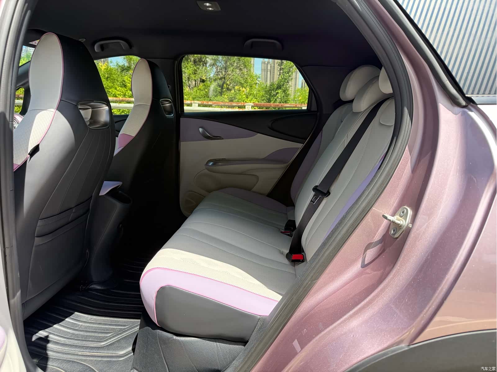 BYD Dolphin, 2023 все фото