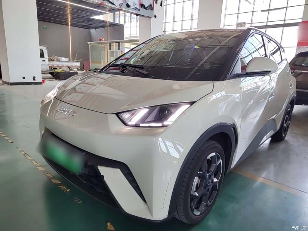 BYD Seagull, 2024 2