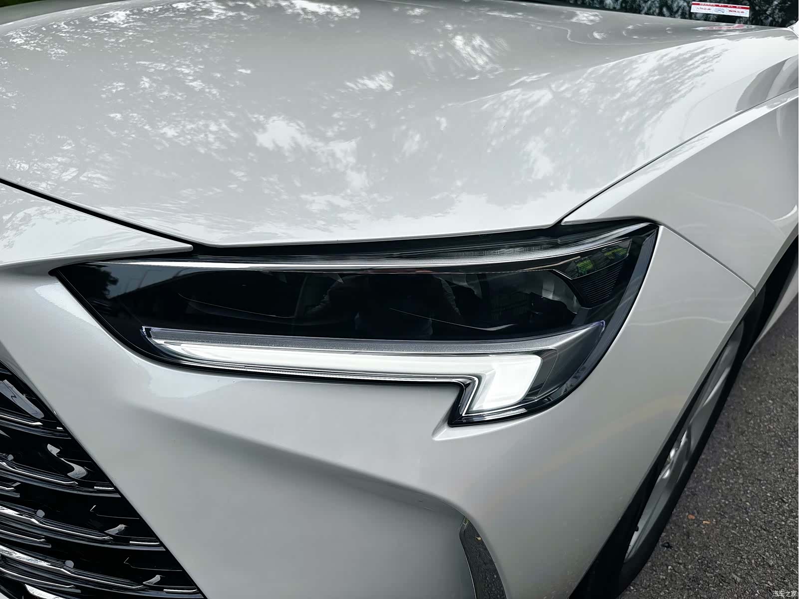 Buick Regal, 2025 все фото