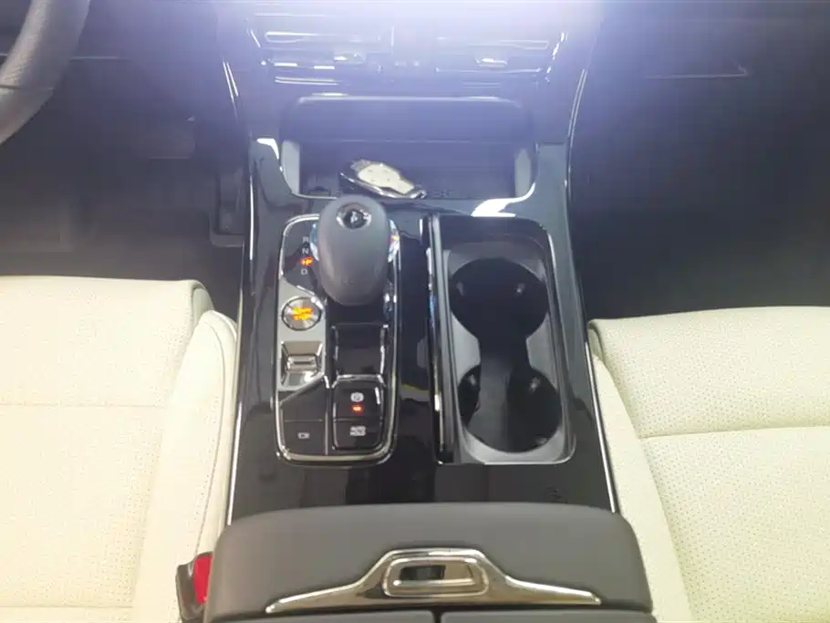 Trumpchi Trumpchi E9